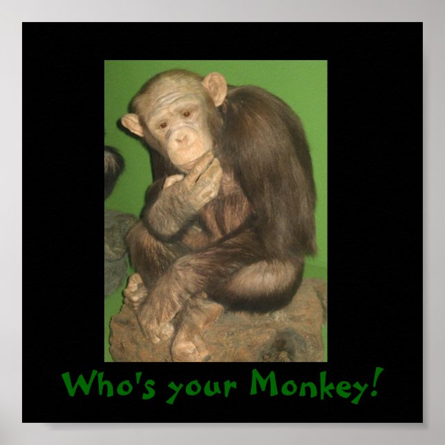monkey, Who's your Monkey! Poster (Front)