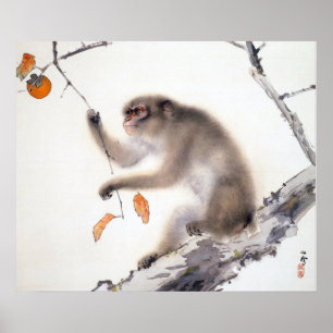 Monkey with Persimmons Poster