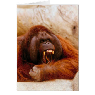 Monkey yelling