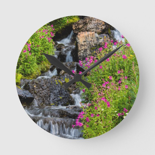 Monkeyflowers Along Lunch Creek In Glacier Round Clock (Front)