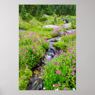 Monkeyflowers Along Lunch Creek Poster
