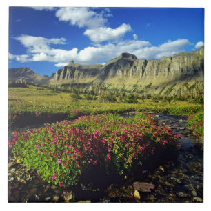 Monkeyflowers at Logan Pass in Glacier National Ceramic Tile