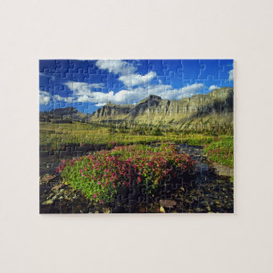 Monkeyflowers at Logan Pass in Glacier National Jigsaw Puzzle