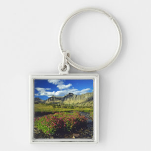 Monkeyflowers at Logan Pass in Glacier National Key Ring