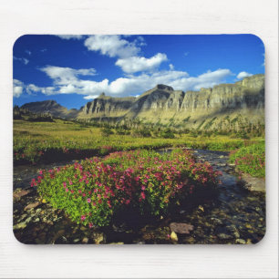 Monkeyflowers at Logan Pass in Glacier National Mouse Pad