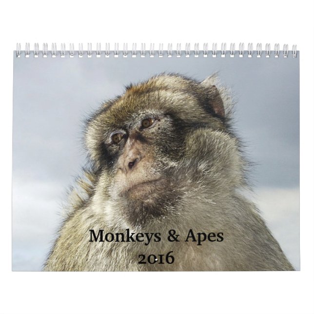 Monkeys and Apes 2016 Calendar (Cover)
