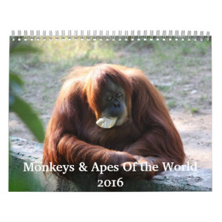 Monkeys and Apes of the World 2016 Calendar