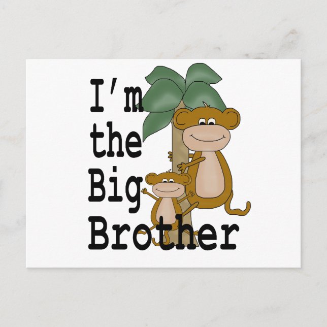 Monkeys Big Brother Postcard (Front)