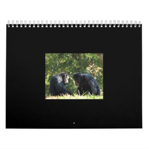 monkeys calendar