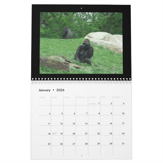 monkeys calendar (Jan 2026)