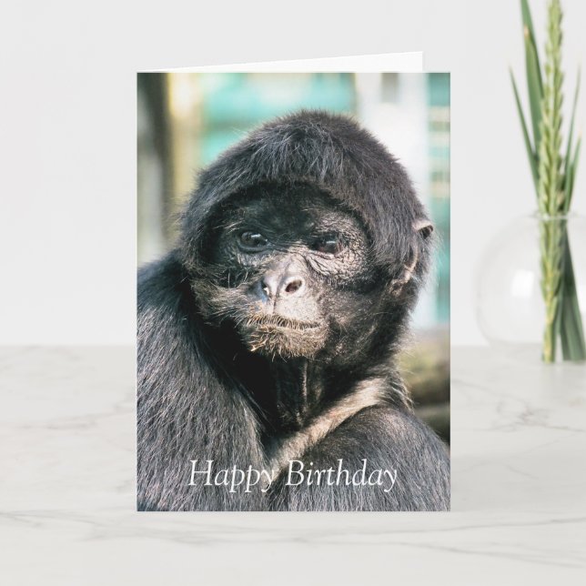 MONKEYS CARD (Front)