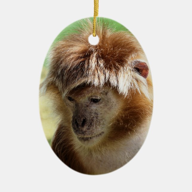 MONKEYS CERAMIC TREE DECORATION (Front)