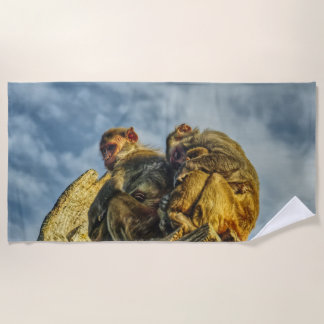 monkeys cuddling  beach towel