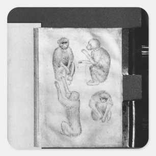 Monkeys, from The Vallardi Album Square Sticker