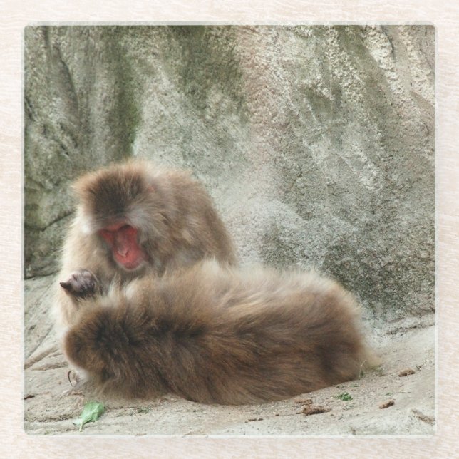 Monkeys Glass Coaster (Front)