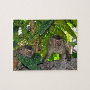 Monkeys in Rainforest of Borneo Jigsaw Puzzle