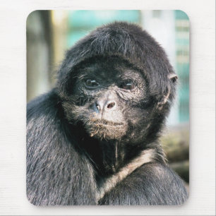 MONKEYS MOUSE PAD