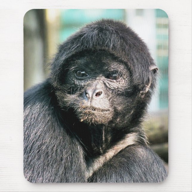 MONKEYS MOUSE PAD (Front)