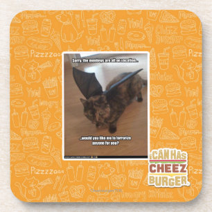 Monkeys on vacation coaster