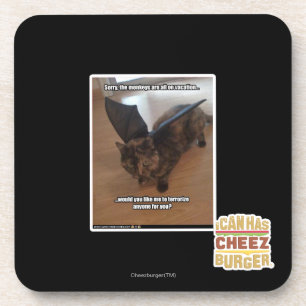 Monkeys on vacation coaster