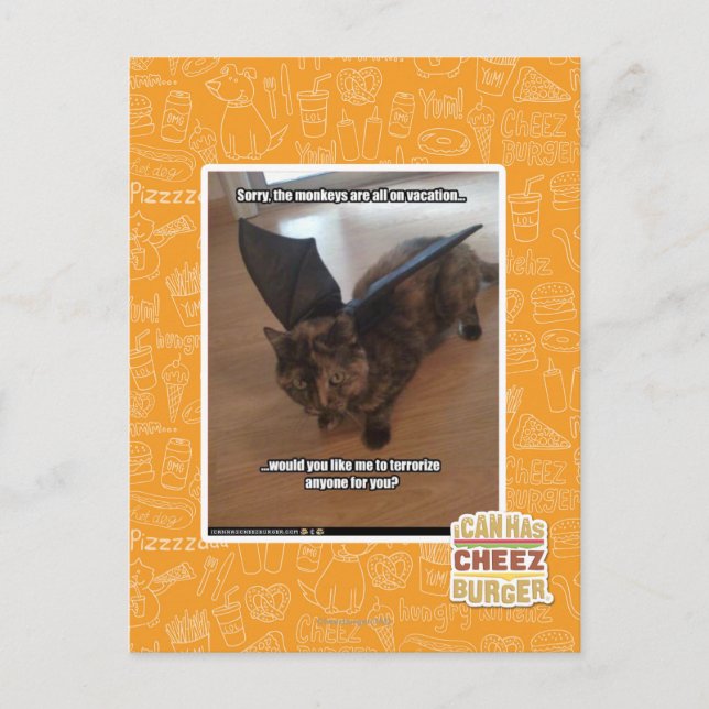 Monkeys on vacation postcard (Front)