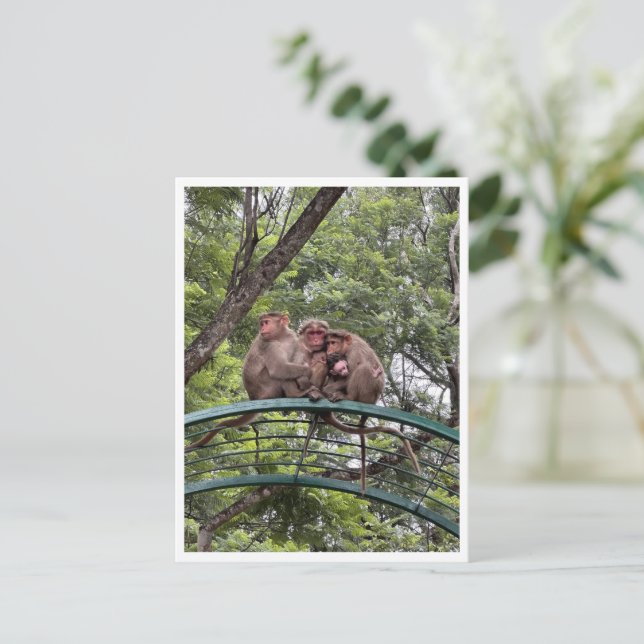 Monkeys with a tiny infant postcard (Standing Front)
