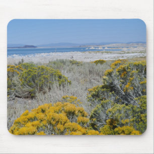 Mono Lake, CA Mouse Pad