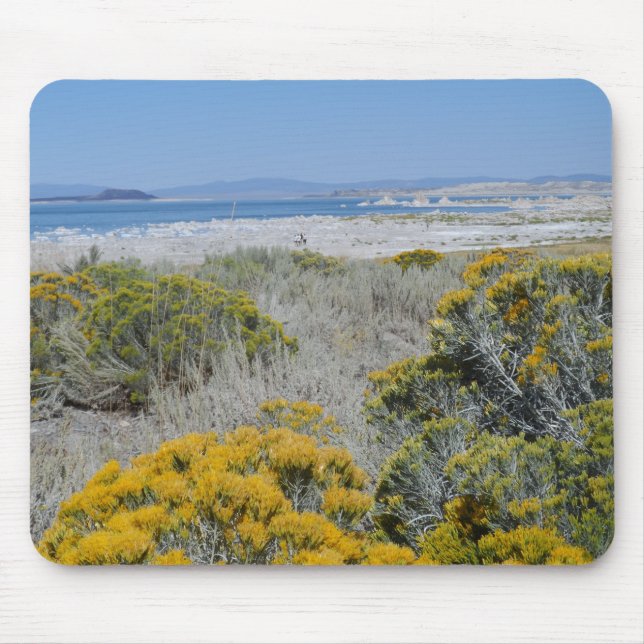 Mono Lake, CA Mouse Pad (Front)