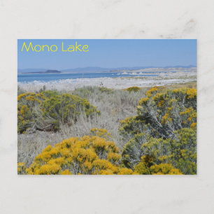 Mono Lake, CA Postcard