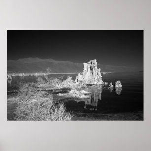 Mono Lake Poster
