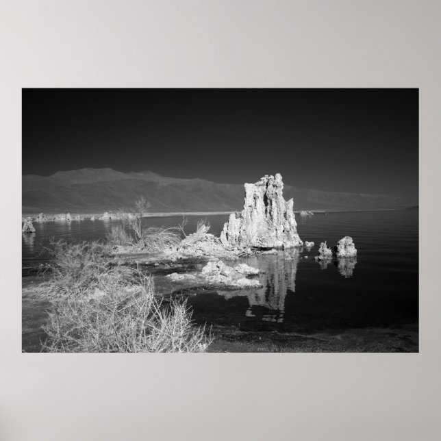 Mono Lake Poster (Front)