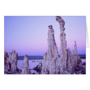 Mono Lake Reserve. California. USA. Tufa