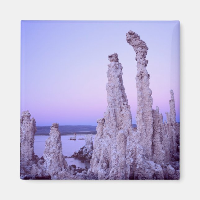 Mono Lake Reserve. California. USA. Tufa Magnet (Front)