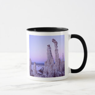 Mono Lake Reserve. California. USA. Tufa Mug