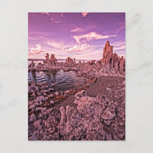 mono lake sunset postcard (Front)