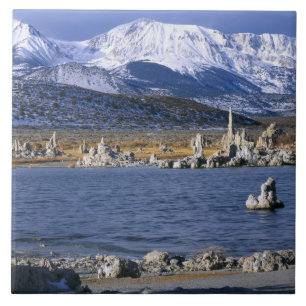 MONO LAKE TUFA STATE NATURAL RESERVE, CERAMIC TILE