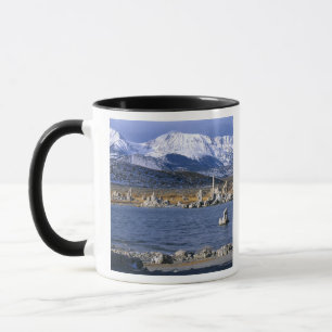 MONO LAKE TUFA STATE NATURAL RESERVE, MUG