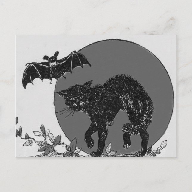 Monochrome Black Cat Bat Full Moon Postcard (Front)