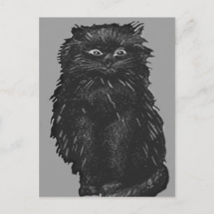 Monochrome Black Cat Postcard