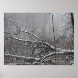 "Monochrome Blizzard" Snow Storm Poster