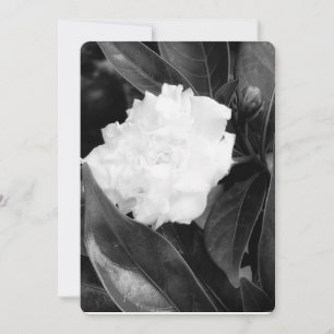 Monochrome Bloom Invitation