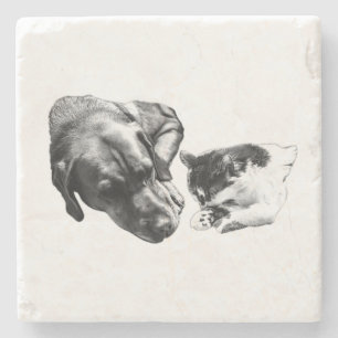 Monochrome Dog & Cat Resting Together Coaster