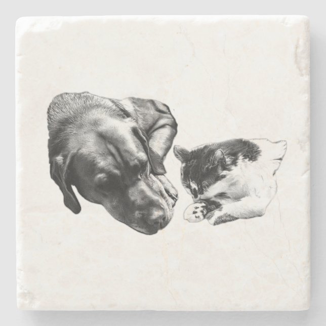 Monochrome Dog & Cat Resting Together Coaster (Front)