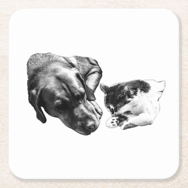 Monochrome Dog & Cat Resting Together Coaster (Front)