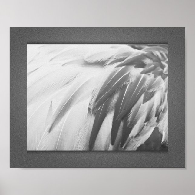 Monochrome Flamingo Feathers Printable Art  Poster (Front)