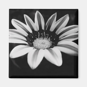 Monochrome Floral Artwork Magnet