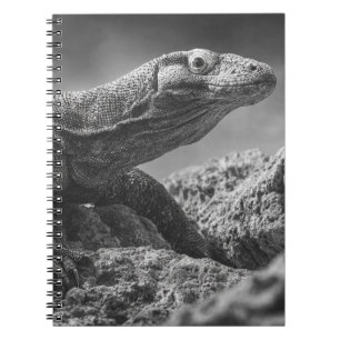 Monochrome Komodo Dragon Rock Study Notebook