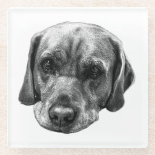Monochrome Labrador Close‑Up Coaster