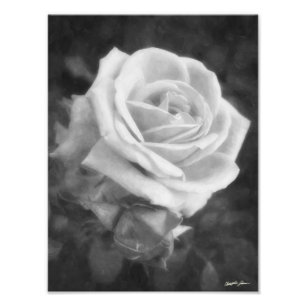 Monochrome Light Rose Print