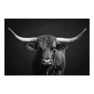 Monochrome Longhorn Steer Cattle Poster